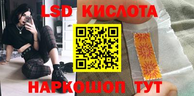 шишки Аргун