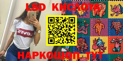 шишки Аргун