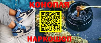 шишки Аргун