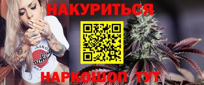 шишки Аргун