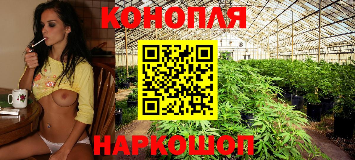 Бошки марихуана тримм  МАРИХУАНА Bruce Banner  Белогорск  Вход с VPN 